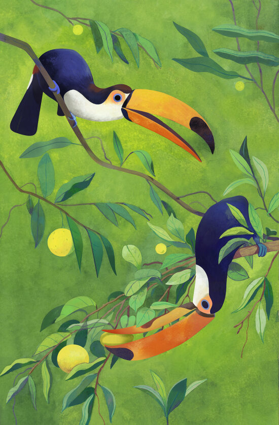 Les deux Toucans - Gouache sur papier - 2026