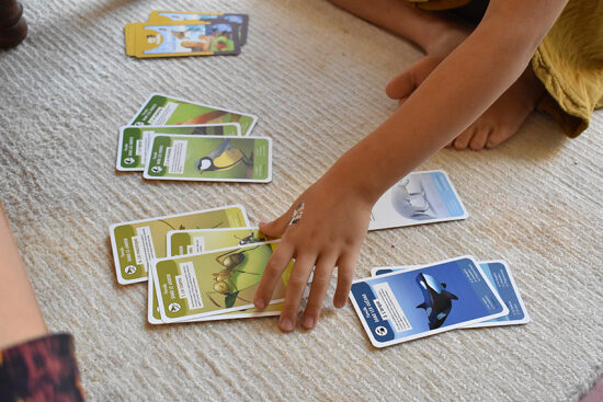 7 familles animaux