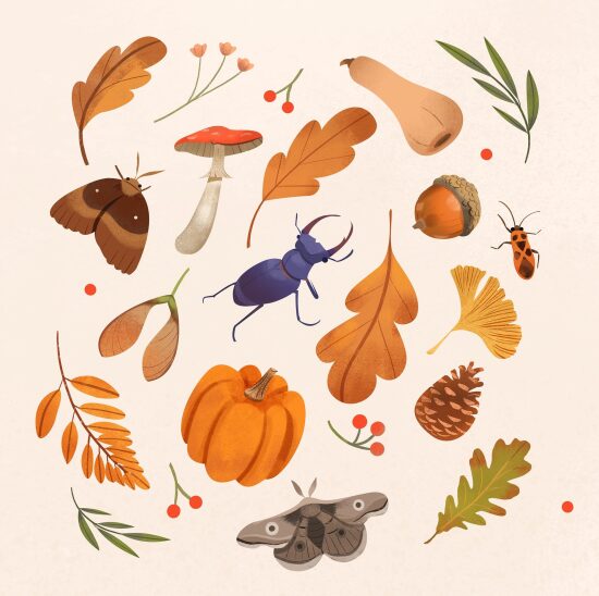 Motifs Automne.jpg