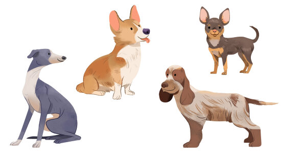 Quel est votre chien préféré ?