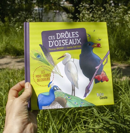 Drôles d'oiseaux - Geste éditions