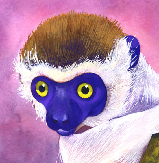 Singe